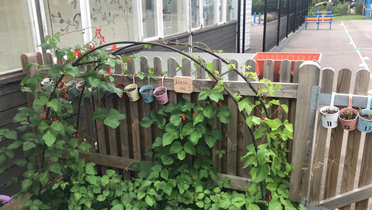 Garden Beds 12